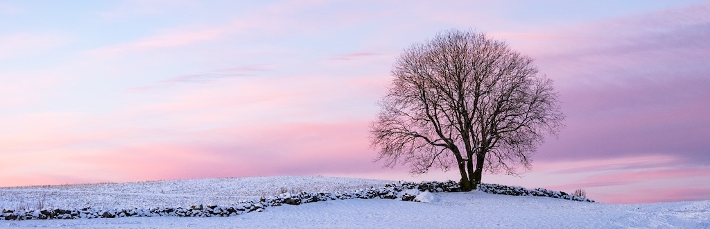 A one tree hill winter sunrise